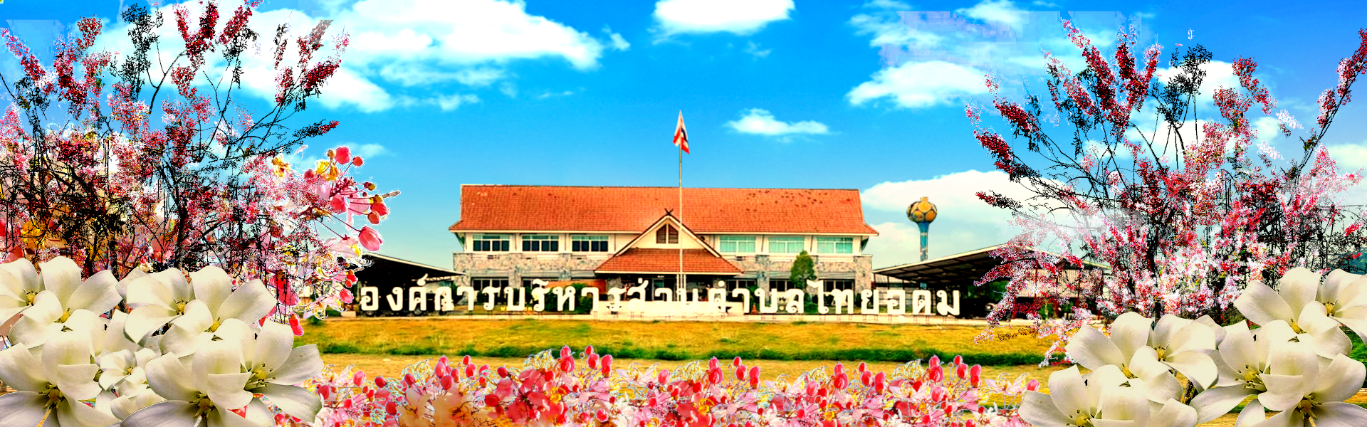 พื้นหลัง